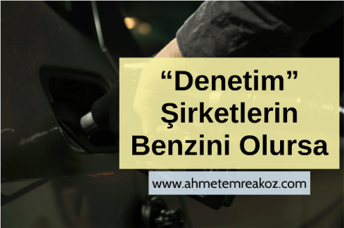 denetim3